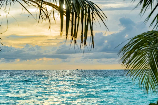 Praia tropical intocada com coqueiro e água azul-turquesa, destino de viagem da ilha das Caraíbas — Fotografia de Stock