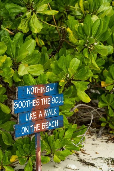 木の板にロープで作られたビーチサイン、背景に緑の木とココナッツポールの木のプレート — ストック写真