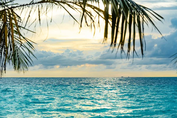 Silhouette di palme al tramonto, isola di Chang, Thailandia — Foto Stock