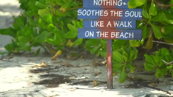 インド洋の日当たりの良い熱帯の島のビーチサインとヤシ。モルディブ。そうだ。ヤシの木や海辺の看板。太平洋側の観光地の美しさ。旅行の休日や夏のシンボル — ストック動画