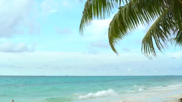 Blauwe oceaan wit zand strand natuur tropische palmen Eiland. Caribische zee en lucht. Klein wild strand. landschap Eiland. Palmen turquoise zee achtergrond Atlantische oceaan. Exotische plek voor vakantie. Eenzaam — Stockvideo