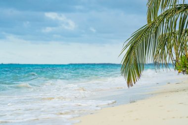 Plaj palmiyeleri adasında harika bir gün. Güzel dalgalar. Doğanın güneş doğuşu palmiyelerin plaj arka planı. Sarı gökyüzü, plaj adasında güzel palmiye ağaçları. Güneş ışığı