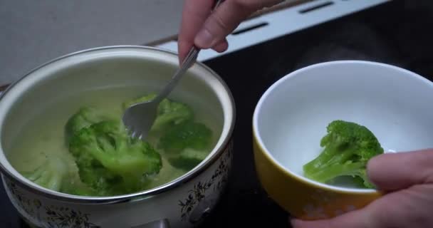 Legumes fervendo na panela. Comida saudável. Receitas vegan. Brócolos, cenouras e feijão verde. — Vídeo de Stock