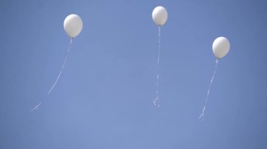 Balonlar gökyüzüne doğru uçar