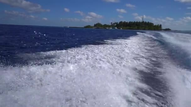 Cinemagraph van varen in de tropen. Spped boot verlaat tropisch eiland resort in de Malediven. Bubbelend water. Indische oceaan of carribean zee. Splash — Stockvideo