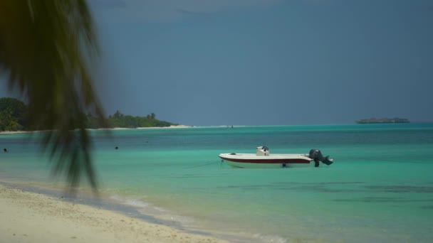 Beat w pobliżu plaży na tropikalnej wyspie na Malediwach. Liście palmy na pierwszym planie i wyspy z wieloma kurortami amd bungalow na tle. Czysta, błękitna woda. Koncepcja wakacji i wakacji — Wideo stockowe