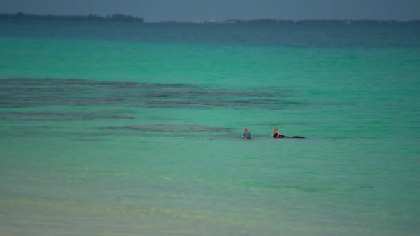 Schoonheidsmeisje en man snorkelen in de Indische Oceaan op Malediven eiland. Vlakbij het strand. Kristalhelder water in de Indische Oceaan. Tropisch eiland. Vakantie en vakantie concept in het paradijs. — Stockvideo