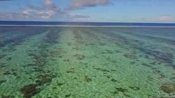 Błękitna laguna w oceanie karaibskim. Wyspy Bahama. Fale spływają po lagunie. Płytkie wody i wiele raf. Błękitne niebo z klonami. W raju. Strzał z powietrza z drona — Wideo stockowe