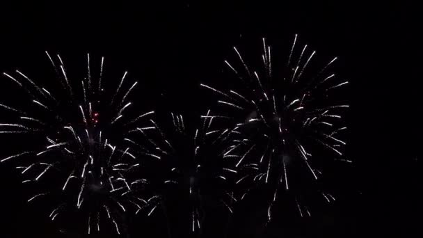 Echtes Feuerwerk vor dem Unabhängigkeitstag am 4. Juli am tiefschwarzen Himmel — Stockvideo