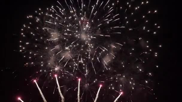 夜空にボケの光で花火を照らす。輝く花火ショー。新年は花火を祝う。夜空に色とりどりの花火が打ち上げられました。黒い空の美しい色の夜の爆発 — ストック動画