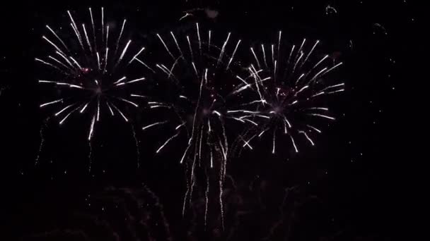 Echtes Feuerwerk vor dem Unabhängigkeitstag am 4. Juli am tiefschwarzen Himmel — Stockvideo