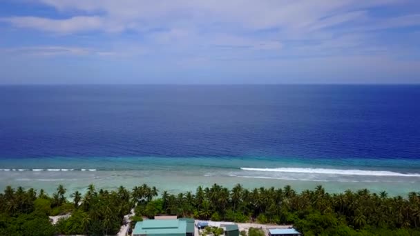 Modrý oceán bílý písek pláž příroda tropické palmy Island. Karibské moře a nebe. Krajina Island. Palmy tyrkysové moře pozadí Atlantského oceánu. ráj místo pro líbánky výlet a dovolenou — Stock video