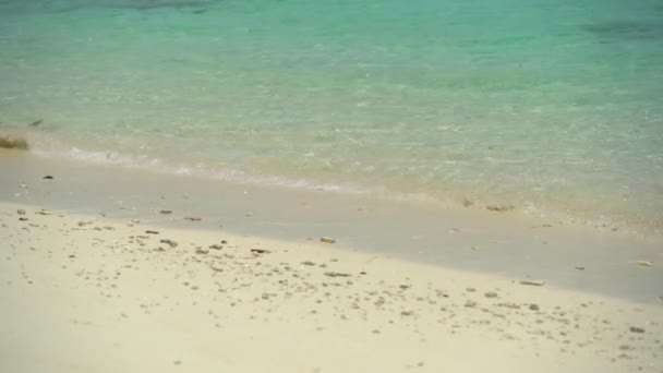 Vista sulla spiaggia tropicale, vista dall'alto delle onde si rompono sulla spiaggia tropicale di sabbia bianca. Onde marine loop senza soluzione di continuità sulla bellissima spiaggia di sabbia. Mare dei Caraibi. Oceano Pacifico. Un paradiso. Calma e passo. Vacanza. — Video Stock