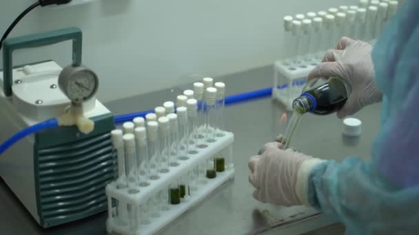 Новосибирск, Россия - 25 мая 2021 года: химическое вещество для поиска антиретровирусных препаратов в лаборатории, в крови обнаружен эксперимент по выявлению вируса, Разработчики потенциальных лекарств и вакцин против COVID-19 — стоковое видео