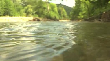 Su yeşil ormandaki Stoney Creek 'ten akıyor. Erimiş buzul suyu, düşük açılı orta açılı görüntüyü gerçek zamanlı olarak sabitledi. Saf canlı doğa.