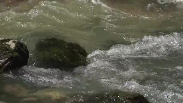 Pura acqua di montagna scorre su rocce ricoperte di muschio. Fiume. Pura natura vergine. — Video Stock