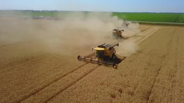 Stavropol, RUSSIA - 15 LUGLIO 2020: Raccoglitrice per la raccolta del grano campo di lavoro. Combinare raccoglitore macchina agricola raccolta campo di grano maturo d'oro. Un campo dopo un raccolto. — Video Stock