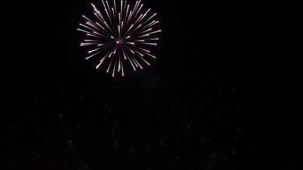 4K. Schleife nahtlos von echtem Feuerwerk Hintergrund. abstrakte Verschwommenheit von echtem goldglänzendem Feuerwerk mit Bokeh-Lichtern am Nachthimmel. Glühendes Feuerwerk. Silvesterfeuerwerk — Stockvideo