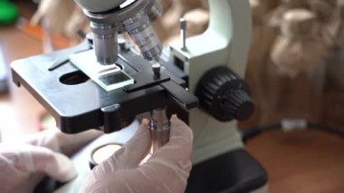 Moskow, Rusya - 23 Mayıs 2021: Tıbbi Araştırmacı DNA Deneylerini Mikroskop Altında Yapıyor ve Biyolojik Bilimler Laboratuvarında Masaüstü Bilgisayarında Sonuçlar Yazıyor. Çeşitli Çoklu Etnik Laboratuarlar