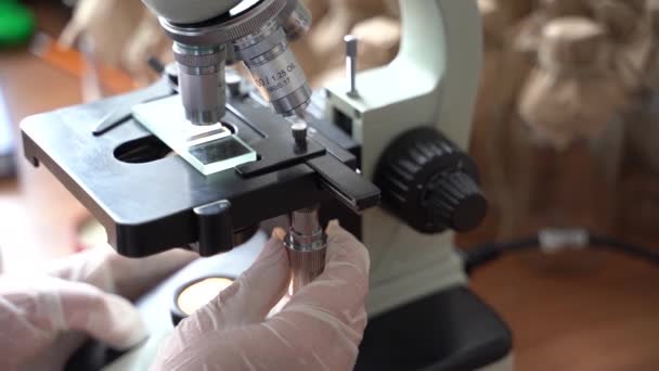 2021年5月23日：医学研究科学家在显微镜下进行DNA实验，并将实验结果写入生物科学实验室的台式计算机。多元化多种族实验室 — 图库视频影像