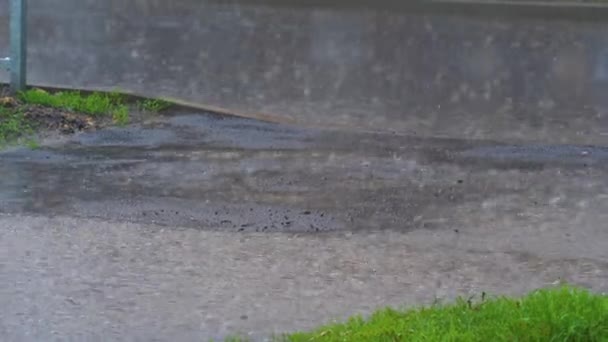 Великі краплі дощу падають у калюжу під час зливи. Вода крапає. Зблизька. Повінь дощу.. — стокове відео