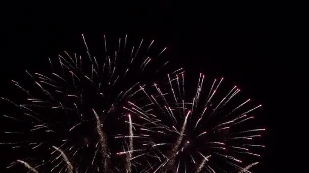 Schöne bunte Feuerwerk glänzende Anzeige bei Nacht Schleife Hintergrund. Für den 4. Juli, Fest, Jubiläum, Feier, Party, Neujahr, Happy Birthday, Hochzeit, Konfetti, Diwali, Weihnachten. — Stockvideo