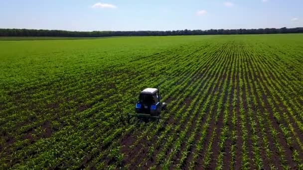 Luchtfoto van een krachtige trekker. Landbouwconcept. trekker werkt in het veld. trekker op het landbouwveld op zonnige dag. Landbouwconcept. pijler van stofsporen achter. — Stockvideo