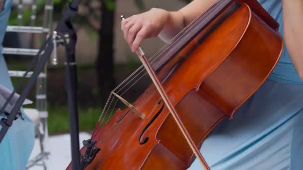 Female violinist is playing violins during musical concert on classic theatre stage with symphony orchestra performing on background. Cinematic close-up shot — 图库视频影像