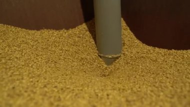 Bira üretmek için malt öğütmek Bira yapmak için