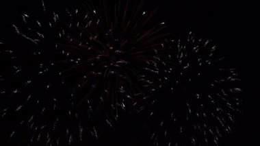 Abu Dabi, BAE 'deki Ulus Festivali' nin Anası 'nın bir parçası olarak havai fişekler gökyüzünü aydınlatıyor.
