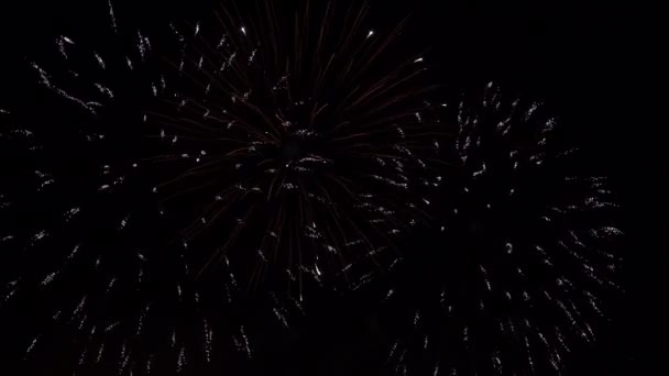 Fogos de artifício iluminando o céu como parte das celebrações do Festival da Nação em Abu Dhabi, Emirados Árabes Unidos — Vídeo de Stock