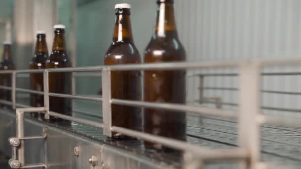 Cervecería. Línea industrial para embotellar bebidas alcohólicas carbonatadas. Las botellas de vidrio de color oscuro se mueven dentro de la máquina de llenado. Verter cerveza en botellas de vidrio. Tecnología de la cerveza — Vídeos de Stock