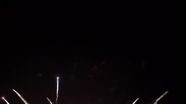 Fogos de artifício exibir celebração, Fogos de artifício de Ano Novo colorido 4K — Vídeo de Stock