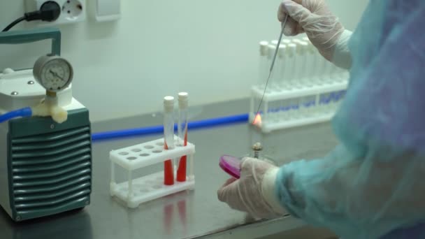 Científico colocando tubos de prueba en laboratorio listos para pruebas de vacunas. — Vídeos de Stock