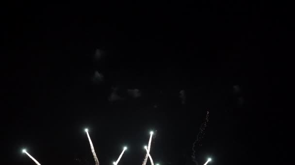 Красочные фейерверки на пляже для абстрактных, юбилей, празднование, 4-й день независимости и новогодний фон или обои — стоковое видео