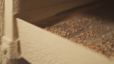 Bira üretmek için malt öğütmek Bira yapmak için.