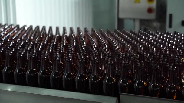 Teknisk linje för buteljering av öl på bryggeri. Tomma bruna flaskor i en kö i fabriken. Flaskor Går på Conveyor Belt på glasflaskfabriken. Rena ölflaskor rör sig längs transportören. — Stockvideo