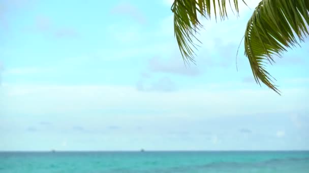 世界上最好的海滩泰国岛屿棕榈在海洋上。海滩上的棕榈树林，长满了白沙。蓝色的大海，沙滩和天空。夏天的风景Bora bora法国波林西亚 — 图库视频影像