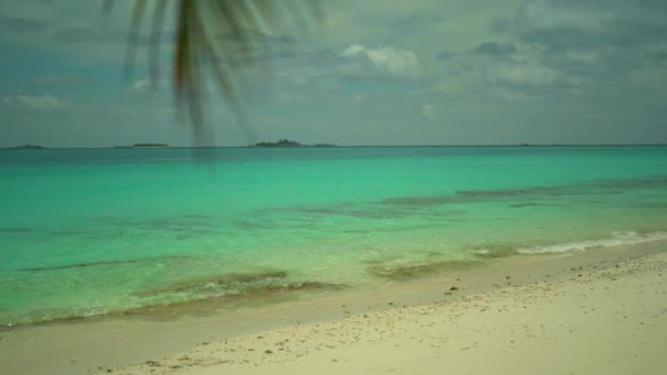 아름다운 맑고 맑은 바 다 해 안 과 이국적 인 카리 빈 해에 있는 완벽 한 섬의 흰 모래사장이다. 야자나무 잎 과 수정처럼 푸른 바다. 휴일 과 긴장 완화 개념 — 비디오
