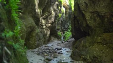 Ünlü milli parktaki Maligne Kanyonu 'ndaki kayalık kayalıklardan geçen şelale Jasper Ulusal Parkı, Kanada