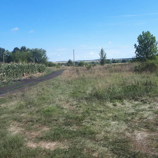 Güzel mısır, mısır denizi