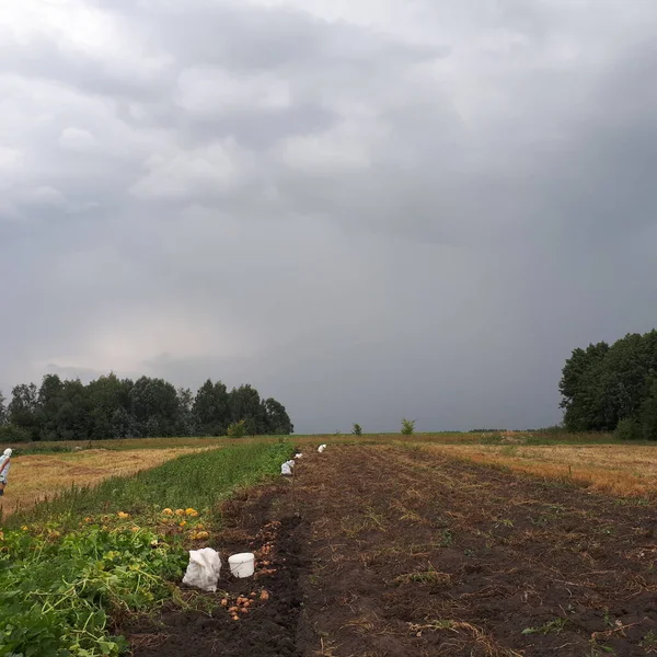 Öğleden sonra gök gürültülü bulut