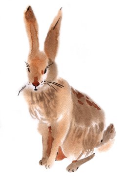 Bir tavşan suluboya çizimi