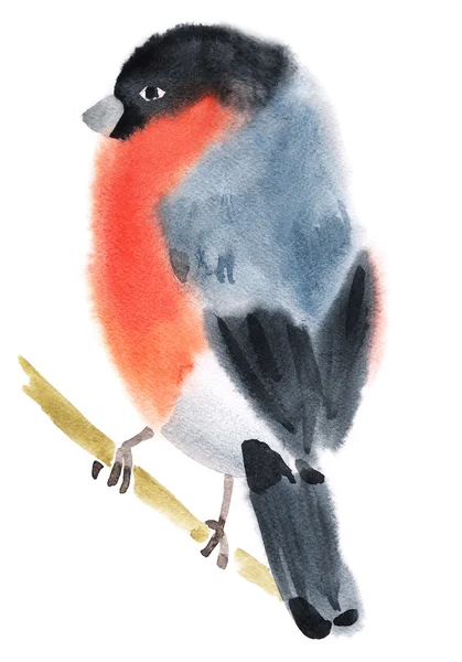 Aquarell-Illustration eines Vogel-Gimpels — Stockfoto