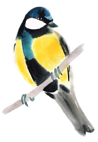 Aquarell-Illustration einer Vogelmeise — Stockfoto