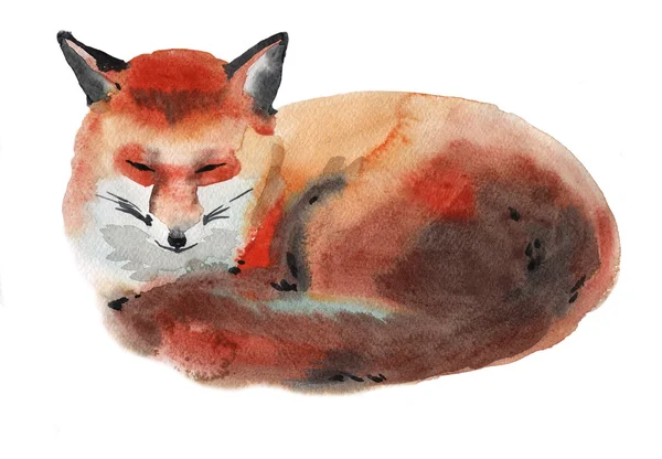 Illustration aquarelle d'un renard — Photo