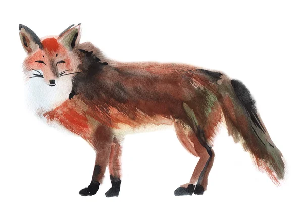 Ilustração a aquarela de uma raposa — Fotografia de Stock