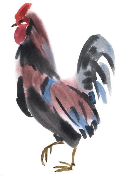 Watercolor illustration of a cock — Stock Photo, Image