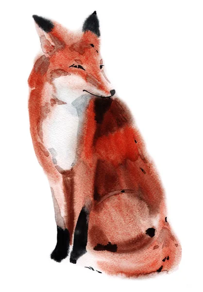 Watercolor illustration of a fox — Stock Photo, Image