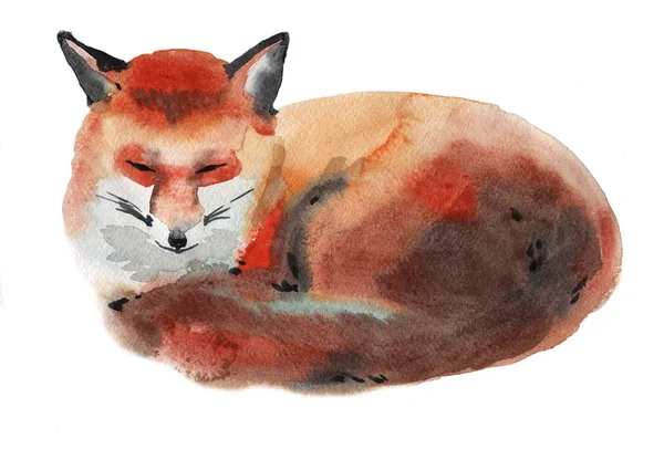 Watercolor illustration of a fox — Stock Photo, Image